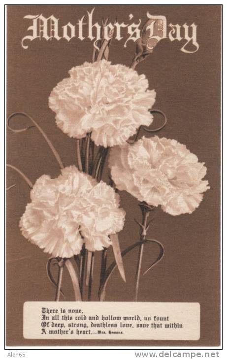 Mother's Day Greetings Wishes, Flowers C1900s Vintage Postcard - Fête Des Mères