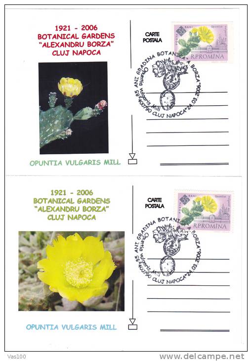 CACTUS OPUNTIA VULGARIS MILL 2X, 2005, SPECIAL CARD, OBLITERATION STAMPS CONCORDANTE, ROMANIA - Sukkulenten