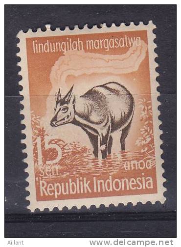Indonésie. Indonesia.  Buffle . ** - Vaches