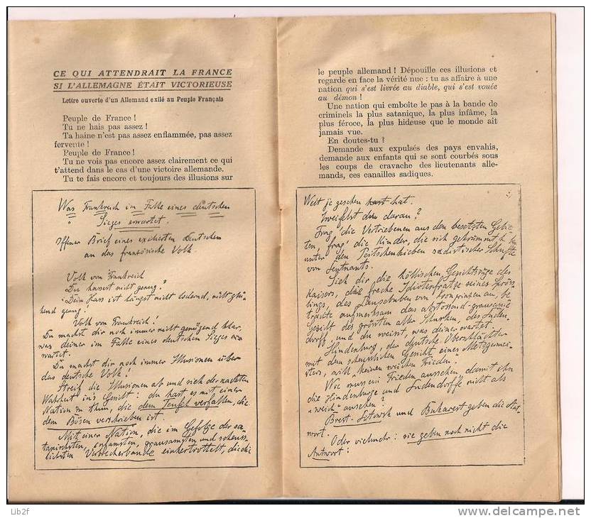 1ere Guerre Mondiale Le Cri Du Coeur D'un Allemand Hermann Rosemeier 14-18 1914-1918 1wk WWI Ww1 Poilus - 1914-18