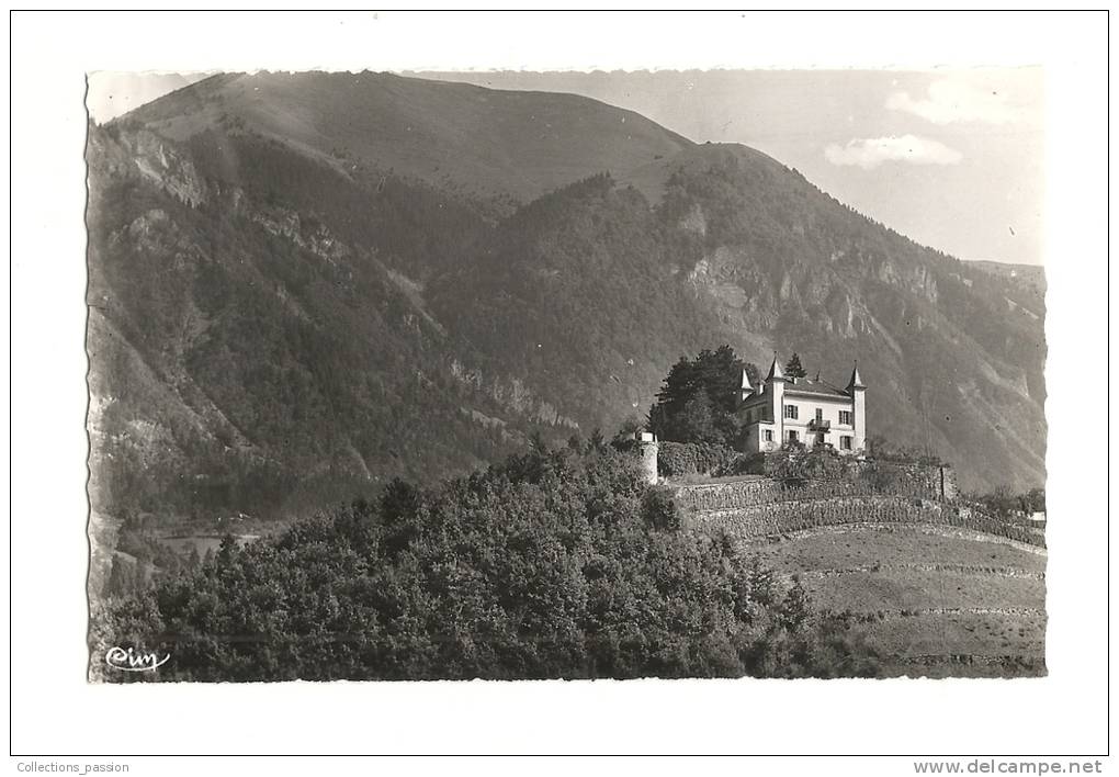 Cp, 74, Bonneville, Château Blanc Et Le Môle - Bonneville