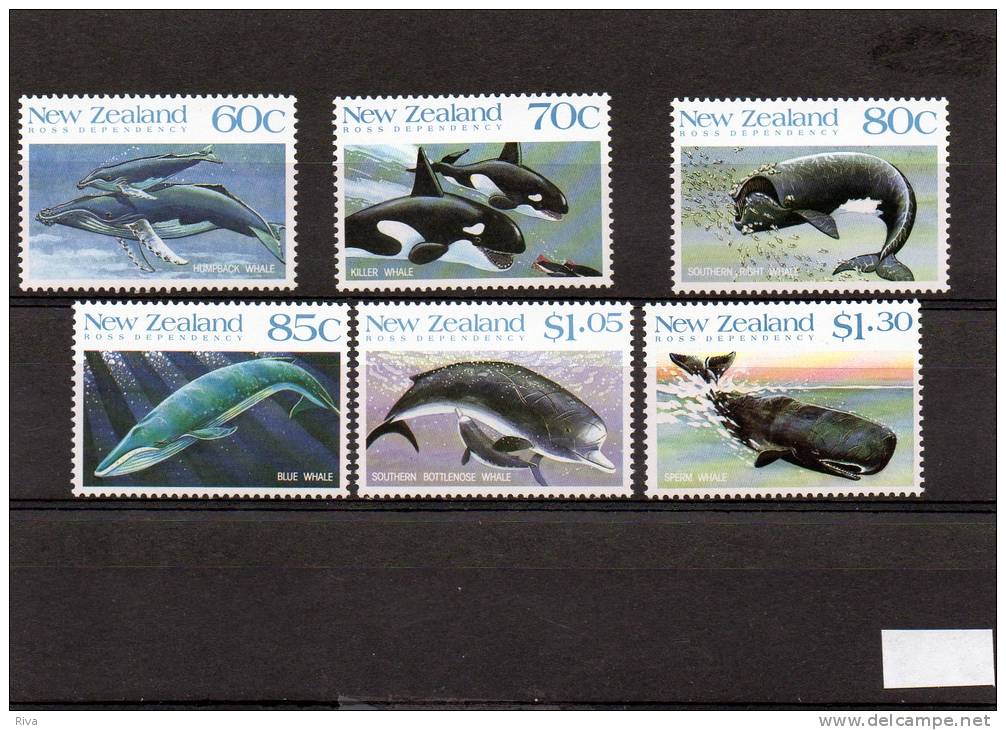 6 Valeurs New Zealand ** - Other & Unclassified