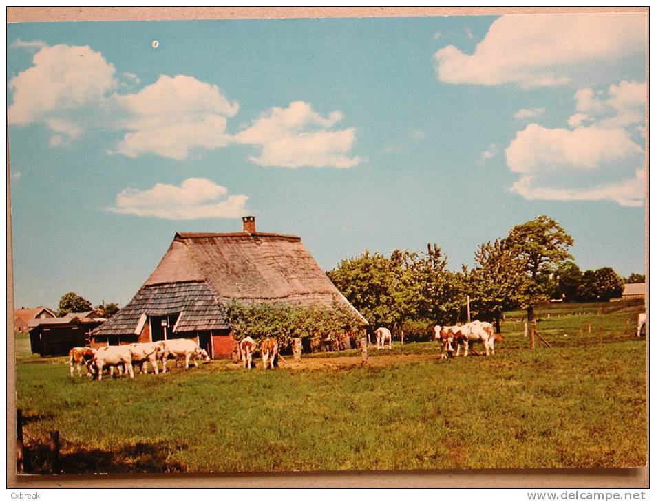 Wierden, Twentse Boerderij - Wierden