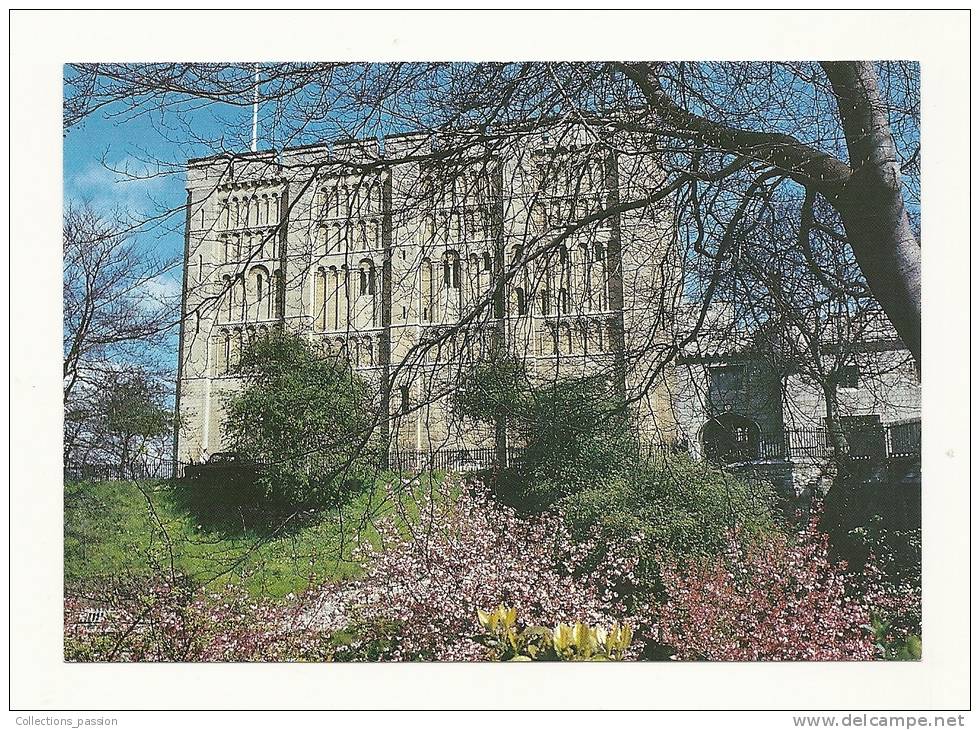 Cp, Angleterre, Norwich, Norwich Castle, écrite 2001 - Norwich