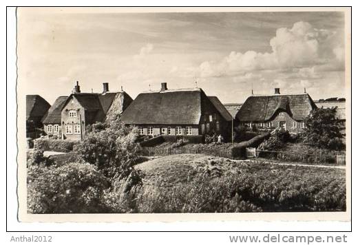 Hansawarft Mit Königshaus Auf Hallig Hooge Sw Gel. 31.8.1956 Nach Winkel Rh. - Halligen