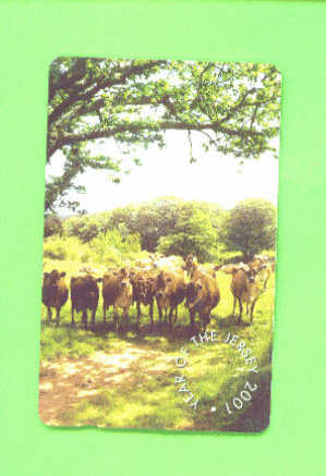 JERSEY - Magnetic Phonecard As Scan/Cows - [ 7] Jersey Und Guernsey