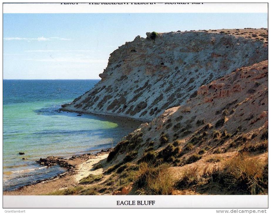 Shark Bay, Denham, Western Australia, 12 View Folder - MDS 0512 Unused, See 3 More Scans - Autres & Non Classés