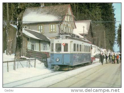 Chemin De Fer, Trains Du Canton Appenzell Et St Gall Skieurs à Rank Photo 1969 BVA 123.6 TB - Autres & Non Classés