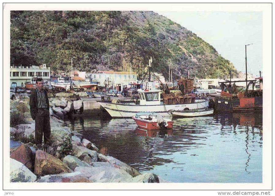 Algerie, Skikda, Port De Peche, Ships, Circulé Oui - Skikda (Philippeville)