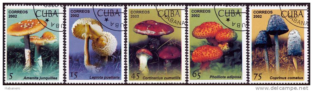 2002 - Mi 4438-4442 - MUSHROOMS - Used Stamps