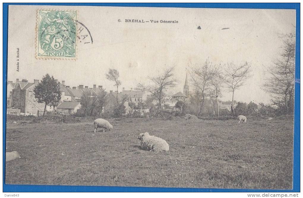 CPA - MANCHE - BREHAL - VUE GENERALE - Moutons Aux Pâturages - Année à Bréhal / 6 - Brehal