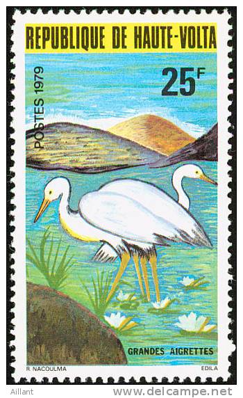 Haute-Volta. Upper Volta. 1979.  Héron Intermédiaire (Egretta Intermedia).** - Storks & Long-legged Wading Birds