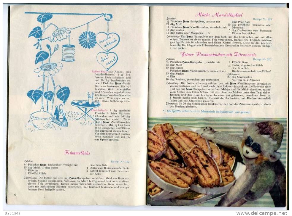 HAAS Rezeptbuch, ( Grün ) Etwa Um 1960 - Eten & Drinken