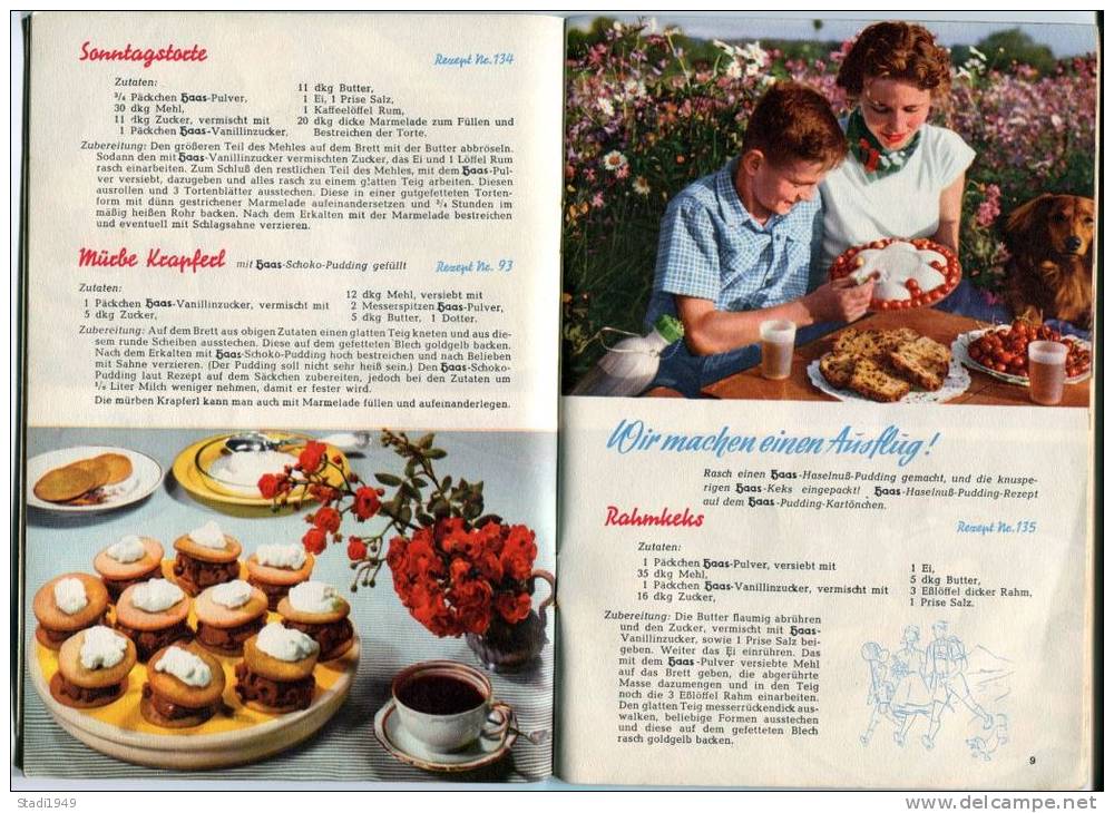 HAAS Rezeptbuch, ( Rot ) Etwa Um 1960 - Eten & Drinken