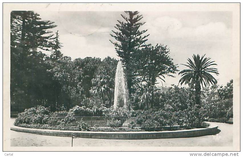 BLIDA - Jardin Bizot (CAP. 31) - Blida