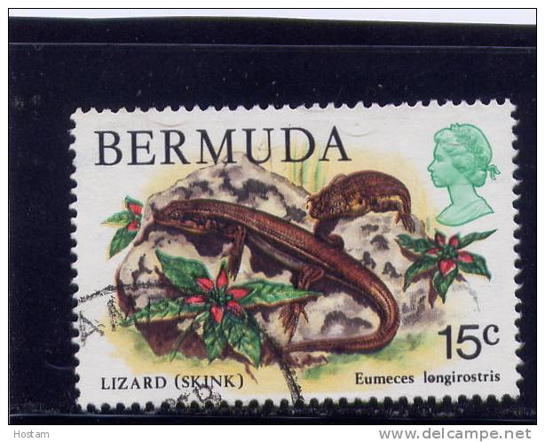 Bermuda, 1978-9, USED # 370,   SKINK - Bermudes