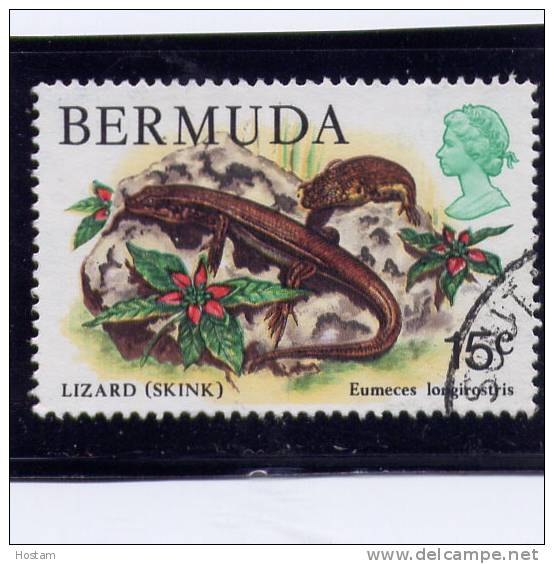 Bermuda, 1978-9, USED # 370,   SKINK - Bermudes