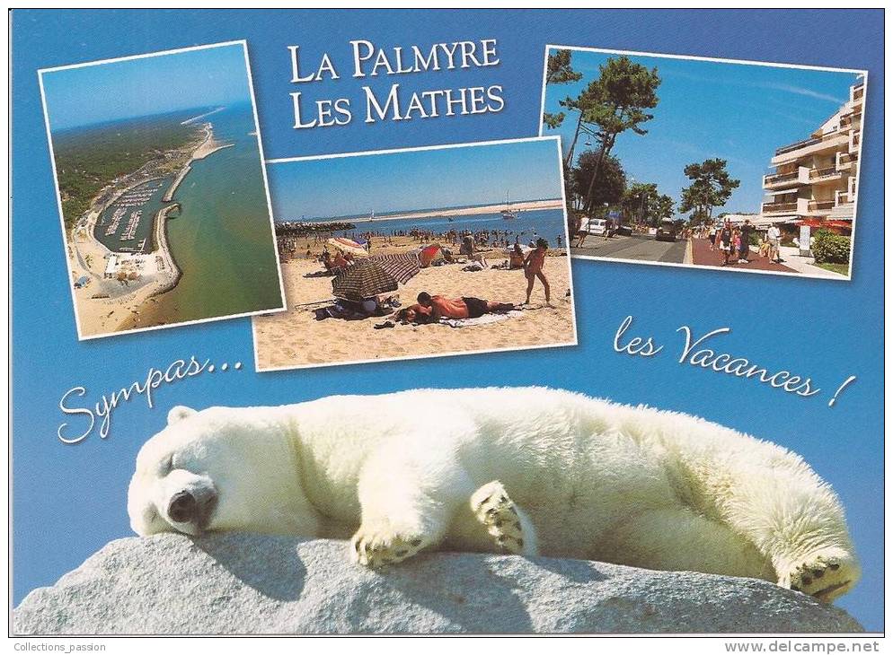 Cp , 17 , LA PALMYRE , écrite , Muti-vues , Ed : Jos Le Doaré - Les Mathes