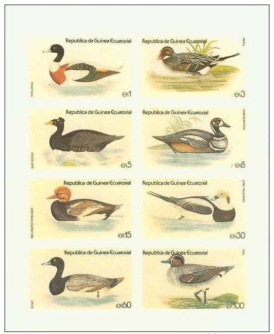 EQUATORIAL GUINEA 1978 BIRDS PERF BLOCK MNH** - Andere & Zonder Classificatie