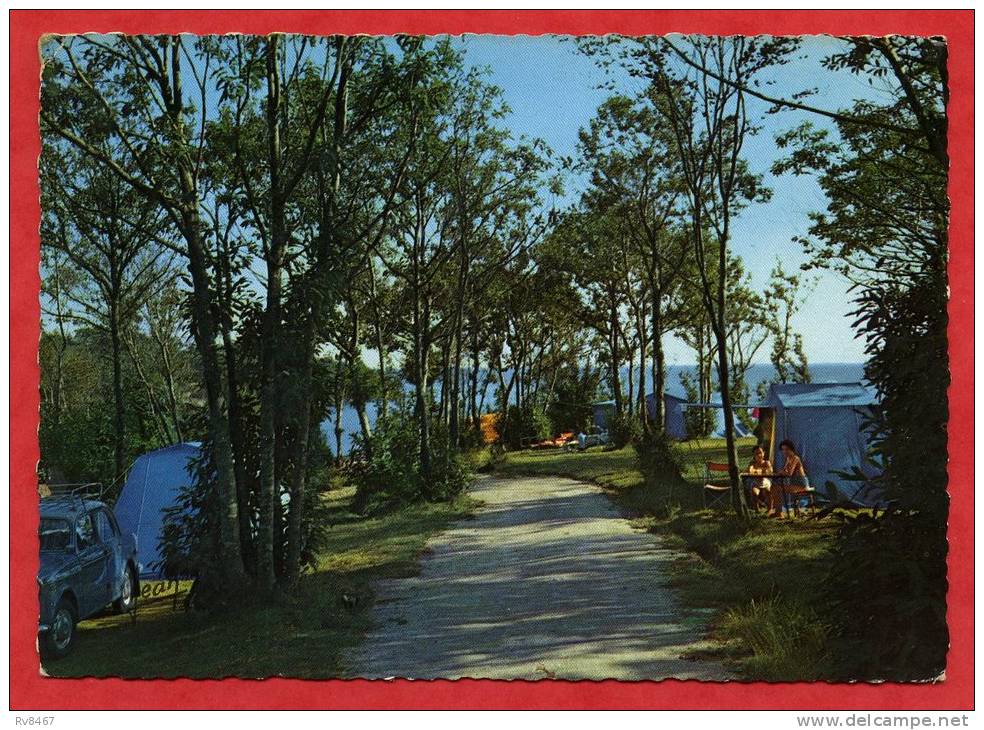 * Camping Du Saint Laurent-La Forêt Fouesnant. Le Sous Bois En Bordure De Mer-1966(Automobile) - La Forêt-Fouesnant