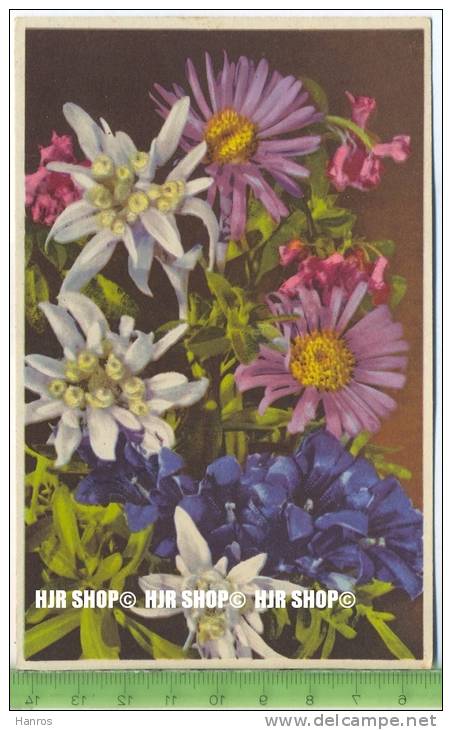 „Blumen, Photochromie-Offset, Serie 693 Nr.2010“ Um 1950/1960 Ungebrauchte Karte - Sonstige & Ohne Zuordnung