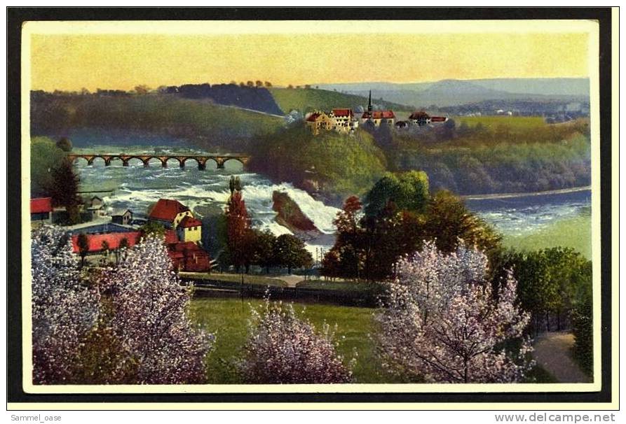 Der Rheinfall Bei Schaffhausen  -  Ansichtskarte  Ca. 1920    (1299) - Sonstige & Ohne Zuordnung