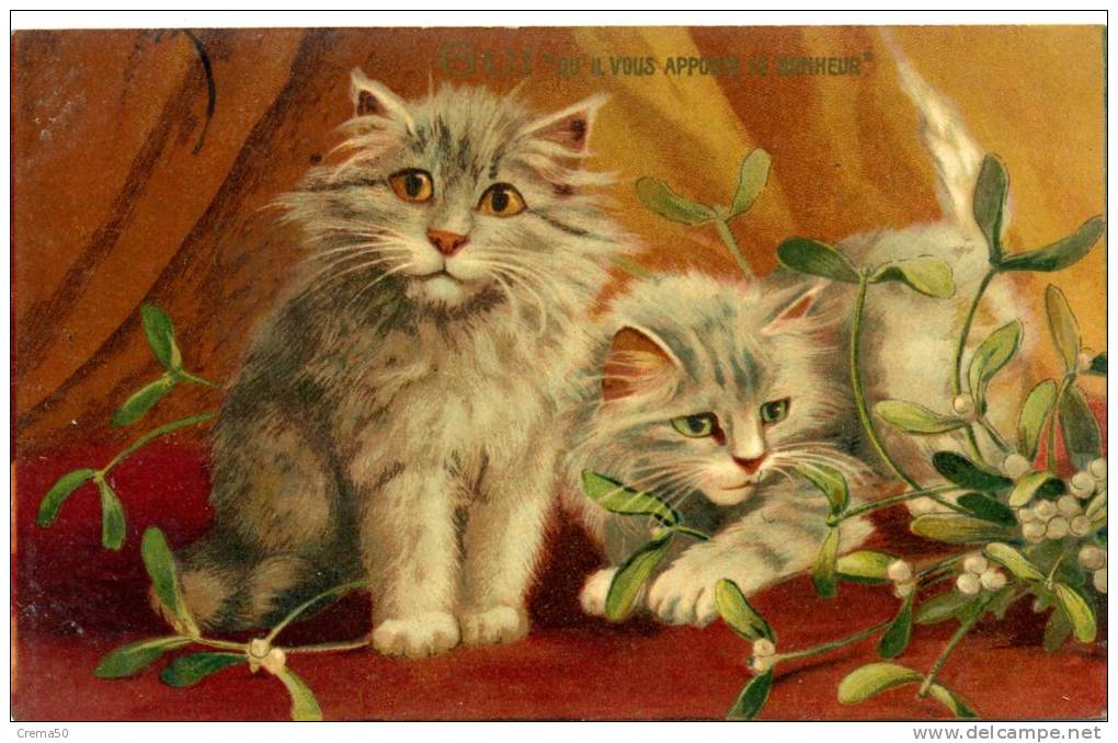 Illust - MAURICE BOULANGER - CHAT, Gui - Autres & Non Classés