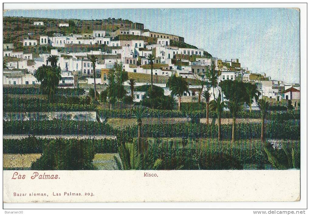 CPA ESPAGNE  CANARIAS LAS PALMAS  RISCO JOLIE VUE - La Palma