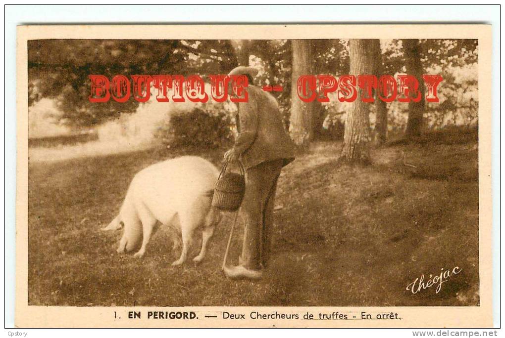 TRUFFE - Chercheur De Truffes Avec Son Cochon - Champignon - Dos Scané - Other & Unclassified