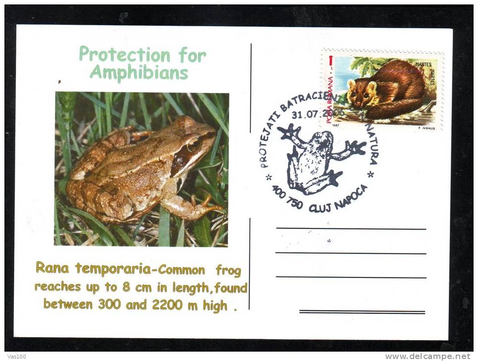 TORTUES,PROTECTION FOR AMPHIBIANS RANA TEMPORARIA- Turtles,nice,POSTCARD 2006 RARE CACHET ROMANIA. - Schildpadden