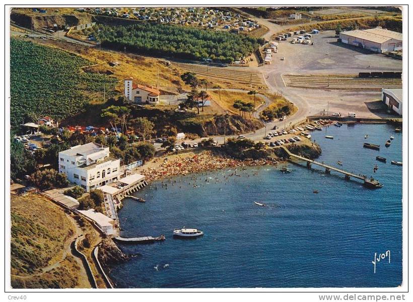 Carte Postale Moderne Non écrite Pyrénées Orientales 66 - Port Vendres, La Plage Et Le Camping - Port Vendres