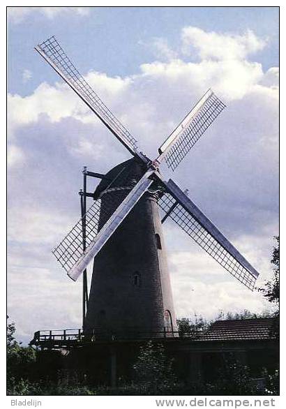 BERGHEM (N.Br.) - Molen/moulin - Historische Opname Van De Gewezen Stellingmolen 'De Anna' In 1960. Thans Nog Romp. - Other & Unclassified