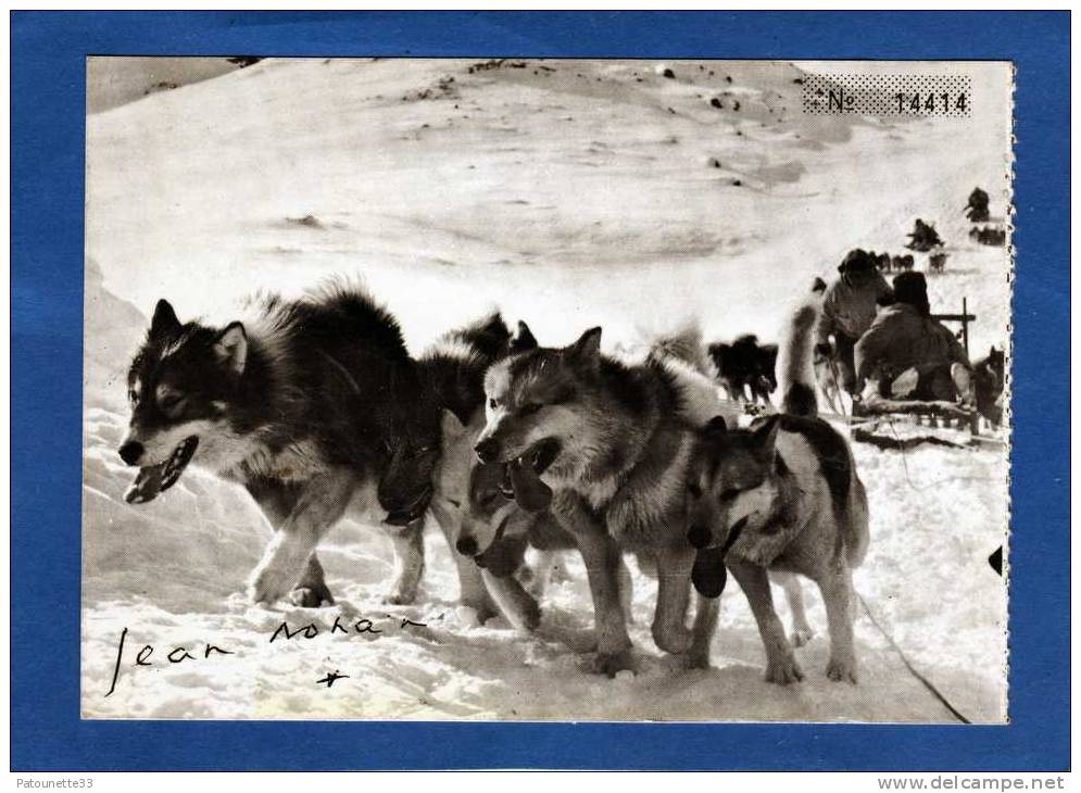 GROENLAND  ATTELAGE DE CHIENS ESQUIMAUX EN PLEIN EFFORT CARTE PHOTO DE JEAN NOHAIN - Greenland