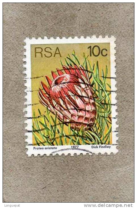 AFRIQUE Du SUD : Fleurs : Protea Aristata- Famille Des Proteaceae - Used Stamps