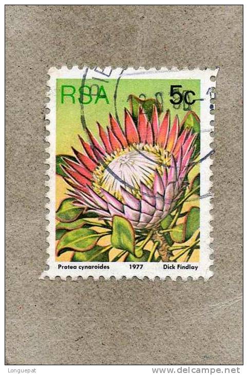 AFRIQUE Du SUD : Fleurs : Protea Cynaroides Ou Protée Royale - Plante Nationale De L´A Du S - Famille Des Proteaceae - Used Stamps