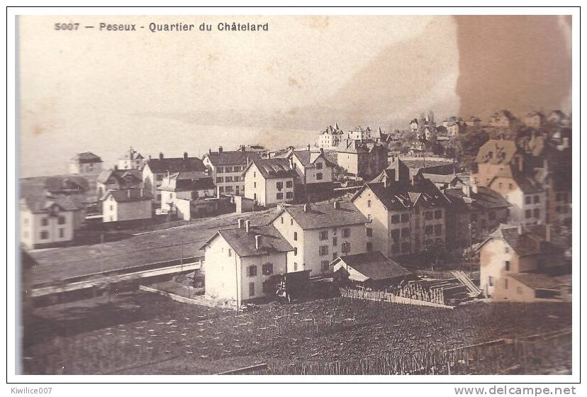 NEUFCHATEL  QUARTIER  DU CHATELARD A PESEUX   ... - Peseux