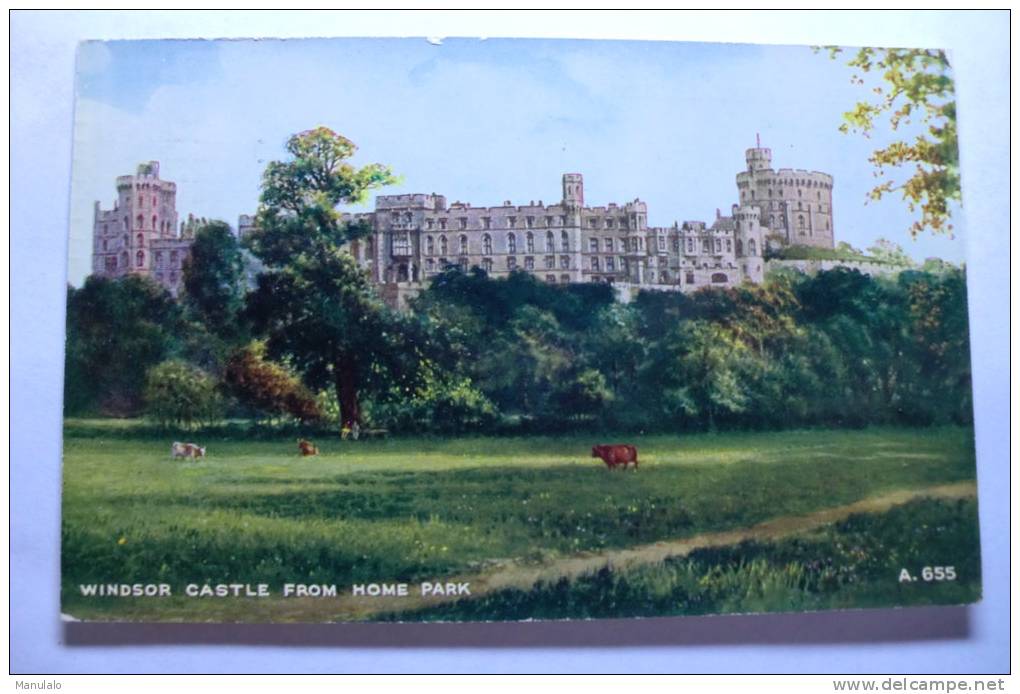 Windsor Castle From Home Park - Sonstige & Ohne Zuordnung