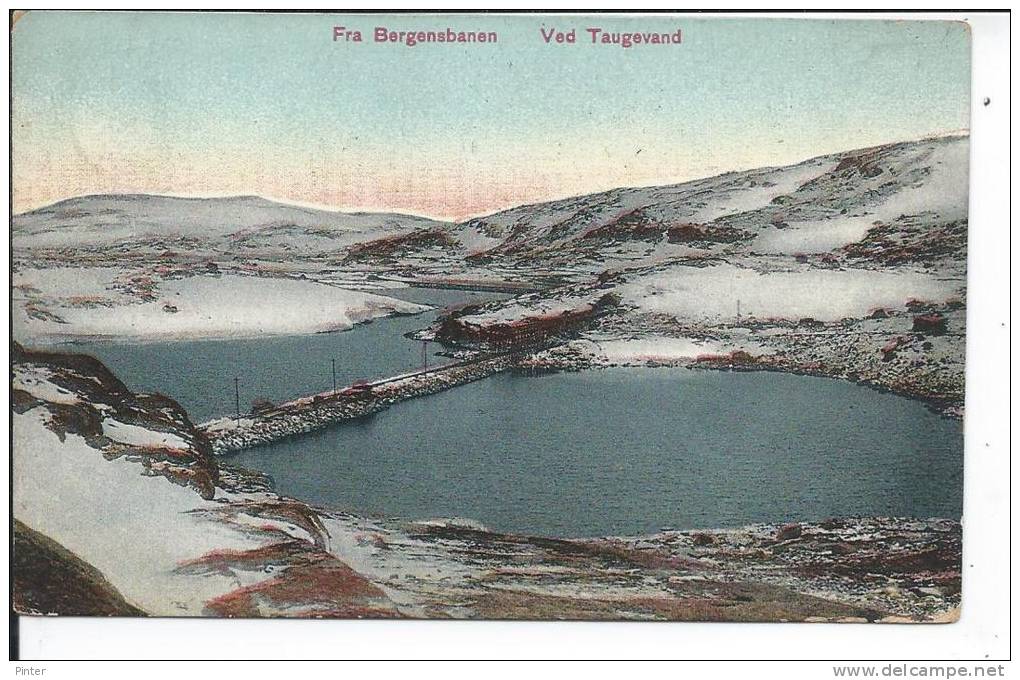 NORVEGE - FRA BERGENSBANEN - VED TAUGEVAND - Norvège