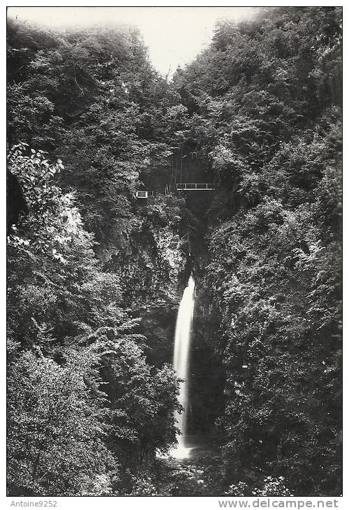 E. 60851 - Environs De Faverges (Haute-Savoie) Cascade Et Grottes De Sethenex - Faverges