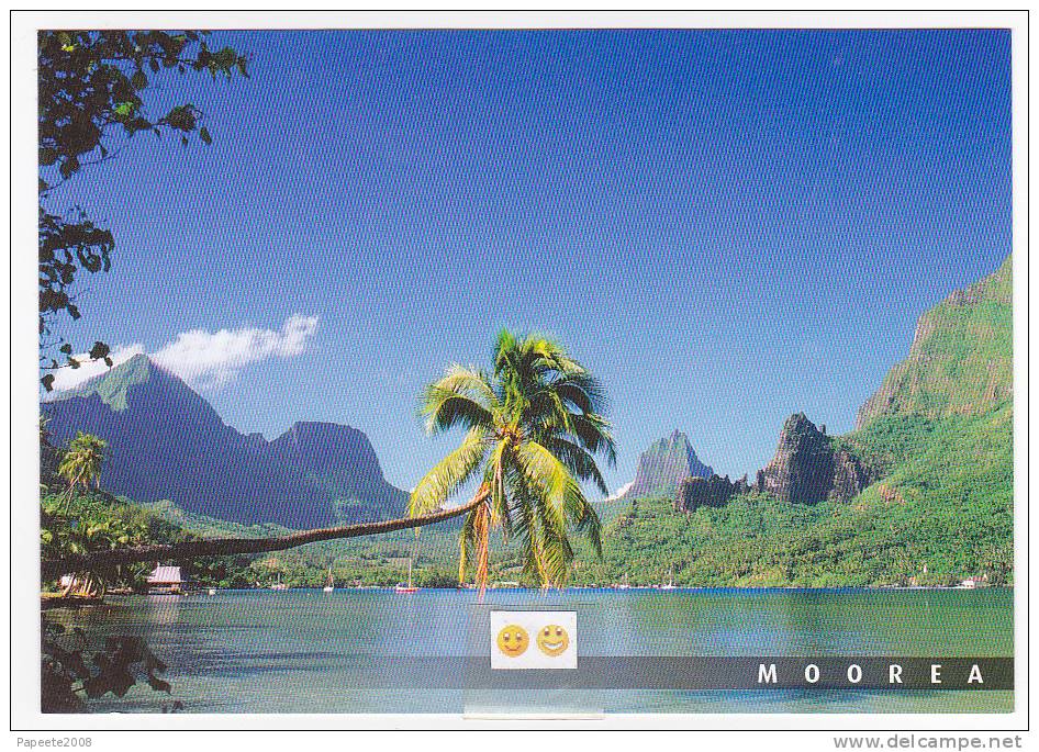 Polynésie Française /  Moorea - Baie De Cook - 104 - Tahiti