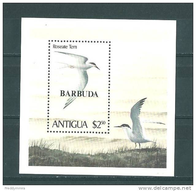 Barbuda: BF 53 **  Sternes - Mouettes