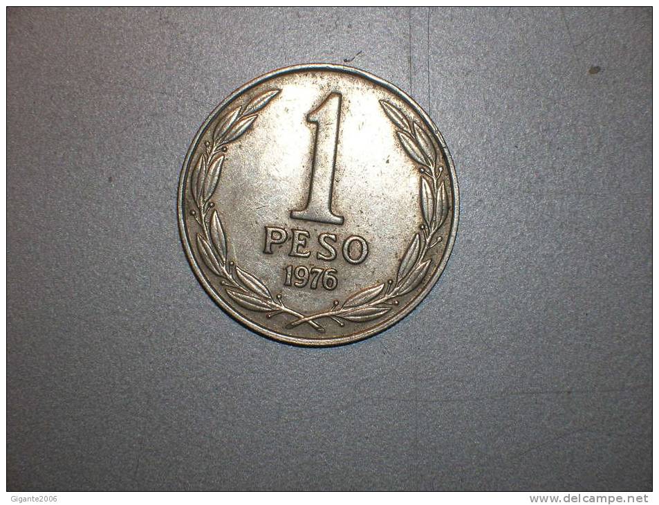 Chile  1 Peso 1976 (3769) - Cile