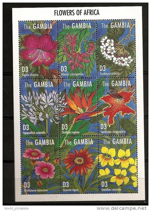 Gambie Gambia 1995 N° 1874 / 80 ** Fleurs, Uncarina, Plumbago, Protea, Catharanthus, Zantedeschia, Nerine, Canarina - Gambia (1965-...)