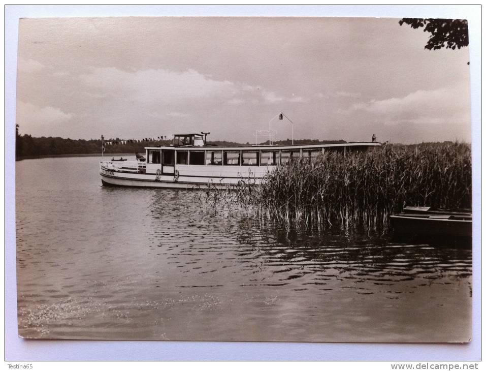 GERMANIA - RHEINSBERG(MARK) - AN DER DOMPFERANLEGESTELLE - FG - N - Rheinsberg