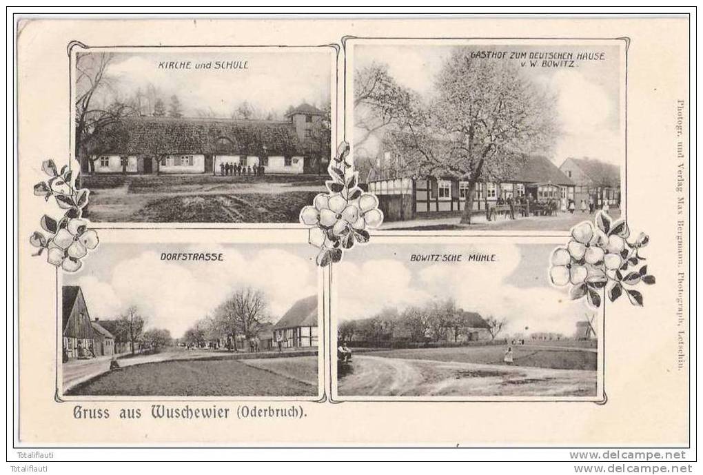 Gruss Aus Wuschewier Gasthof WindMühle Bowitz Dorfstraße Mill Molen Bahnpost 1906 - Wriezen