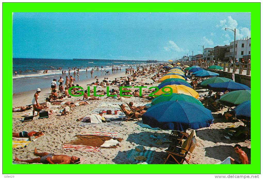 VIRGINIA BEACH, VA - PLAYGROUND OF THE SOUTH, THE BEACH - ANIMATED - - Virginia Beach