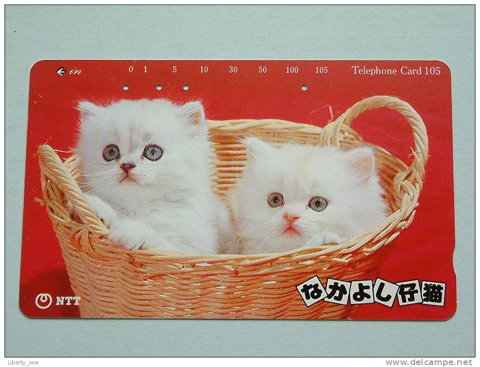 CHAT / CAT / KAT / POES ( NTT Japan ) ! - Gatos