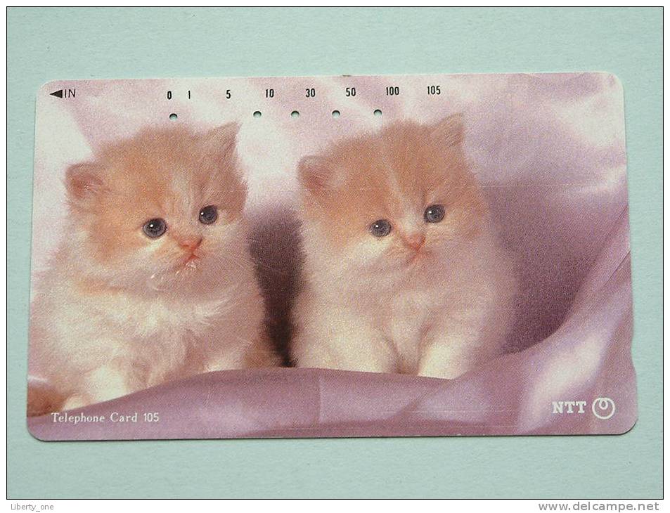 CHAT / CAT / KAT / POES ( NTT Japan ) ! - Chats