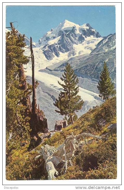 C1073 Tschiervagletscher Und Piz Roseg / Viaggiata 1964 - Tschierv