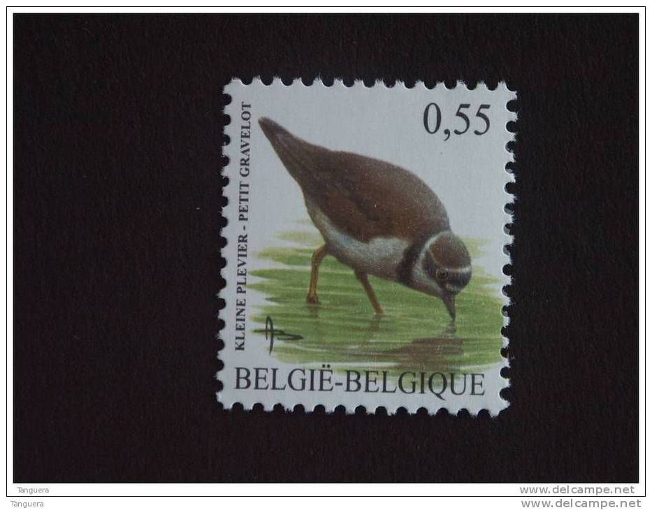 België Belgique Belgium 2004 Vogels Oiseaux Buzin Kleine Plevier Petit Gravelot 3267 MNH ** - 1985-.. Uccelli (Buzin)